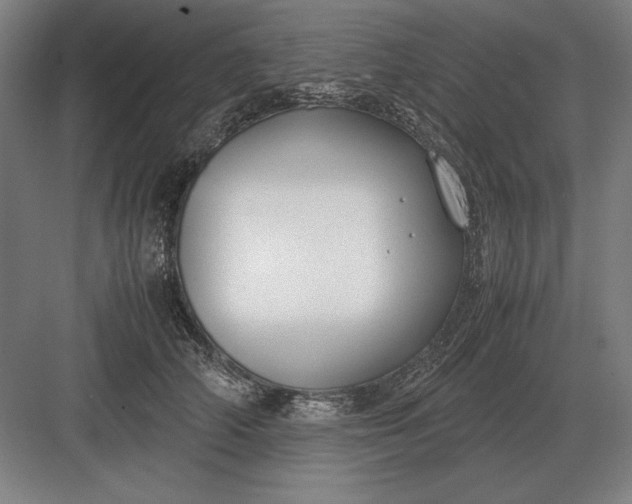 X0000083000706200702160049