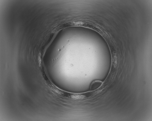 X0000083000707200702160049