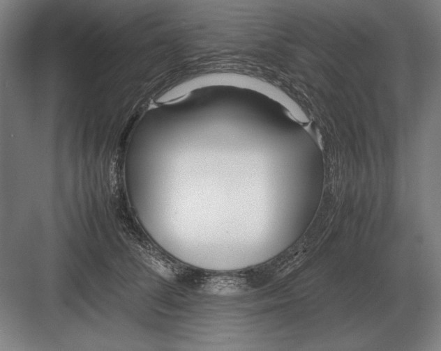 X0000083000708200702160049