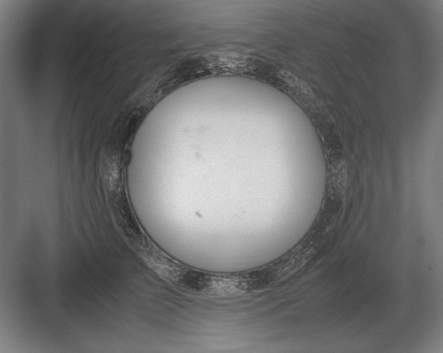 X0000083000709200702160049