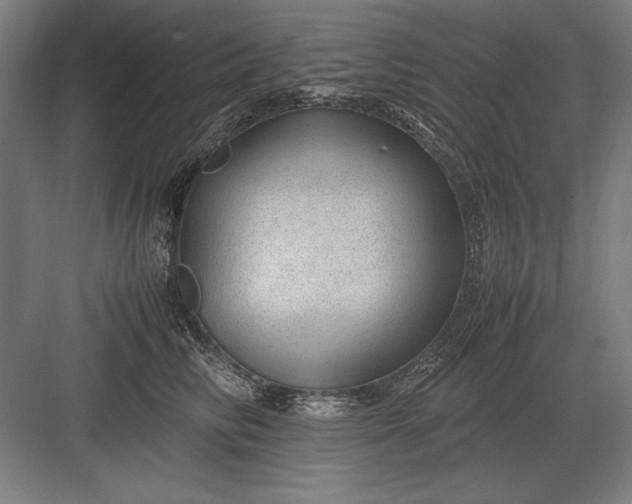 X0000083000710200702160049