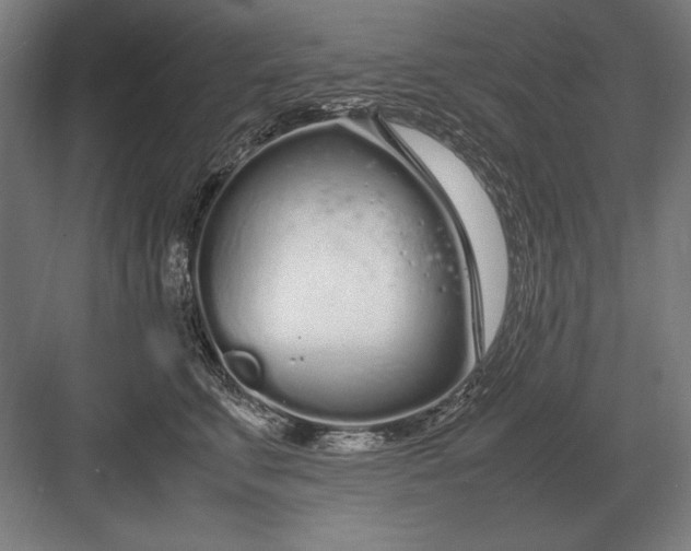 X0000083000711200702160049