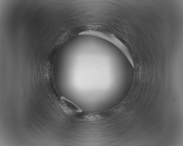 X0000083000712200702160049