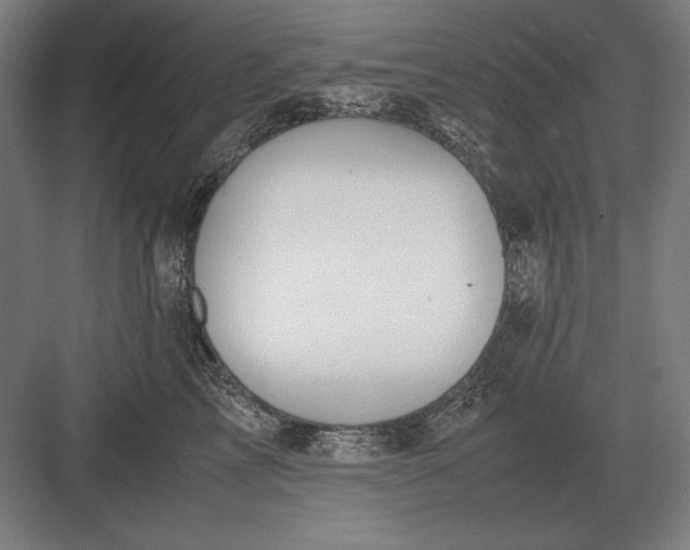 X0000083000713200702160049