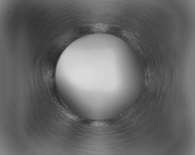 X0000083000714200702160049