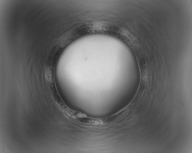 X0000083000715200702160049