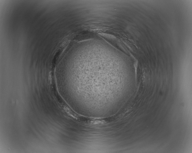 X0000083000716200702160049