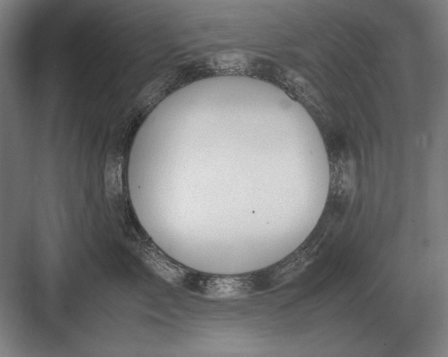 X0000083000717200702160049