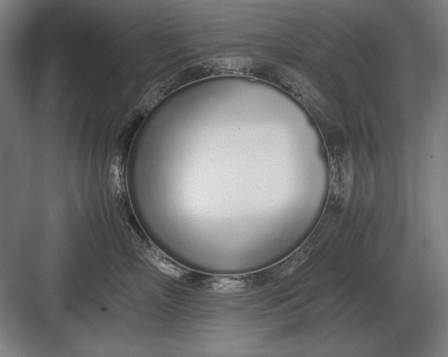 X0000083000718200702160049