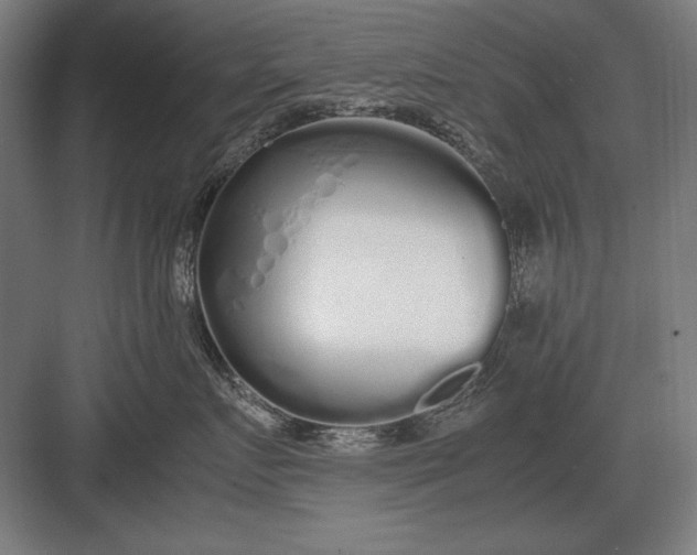 X0000083000719200702160049