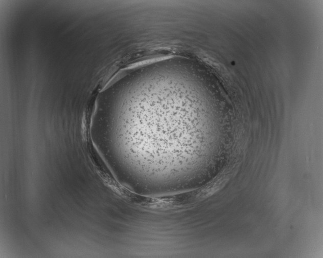 X0000083000720200702160049