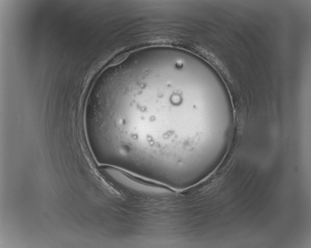 X0000083000721200702160048