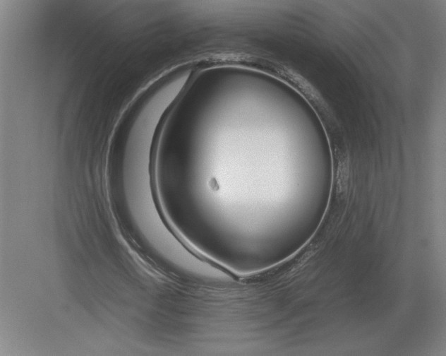 X0000083000722200702160048