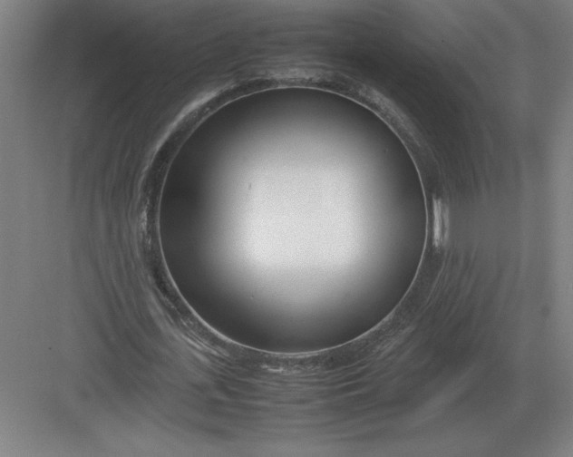 X0000083000723200702160048