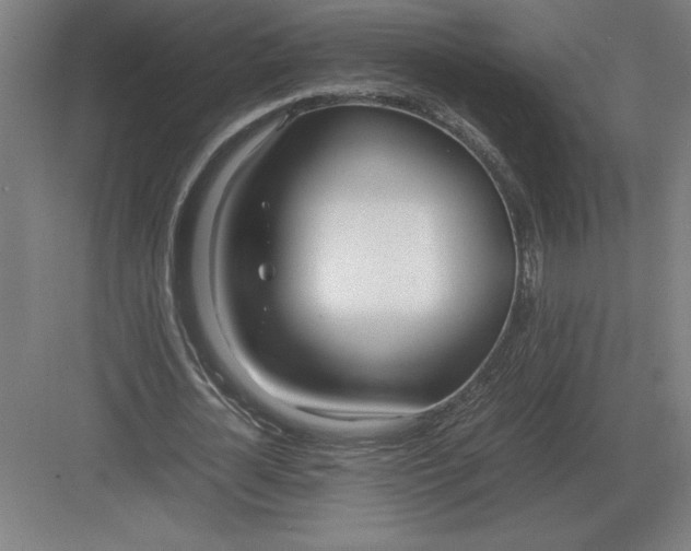 X0000083000724200702160048