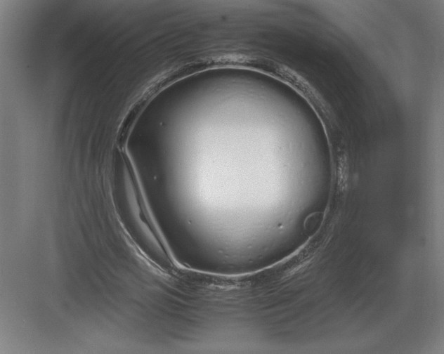 X0000083000725200702160048