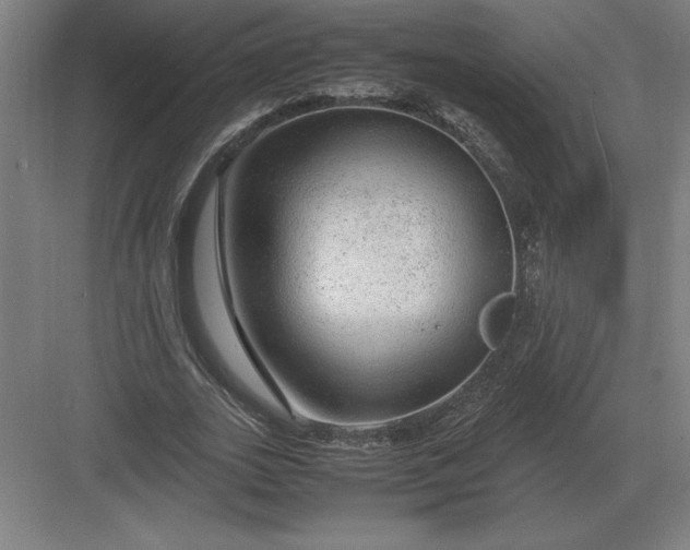 X0000083000727200702160048