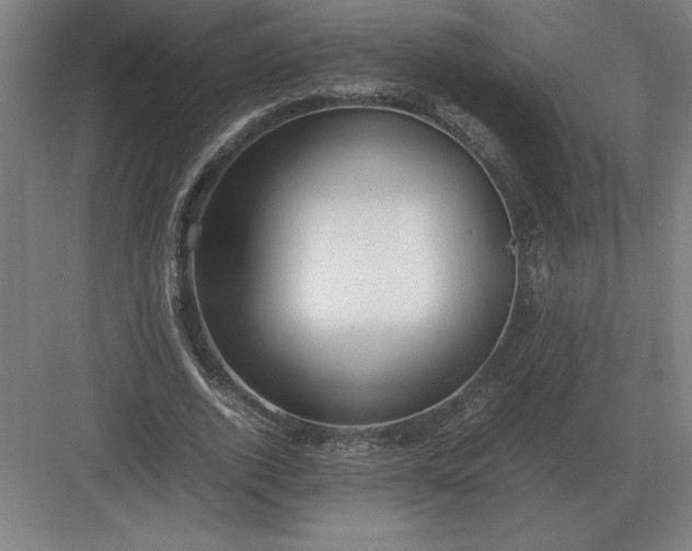 X0000083000728200702160048