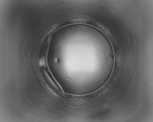 X0000083000729200702160048