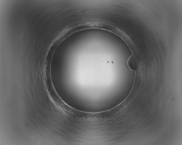 X0000083000730200702160049