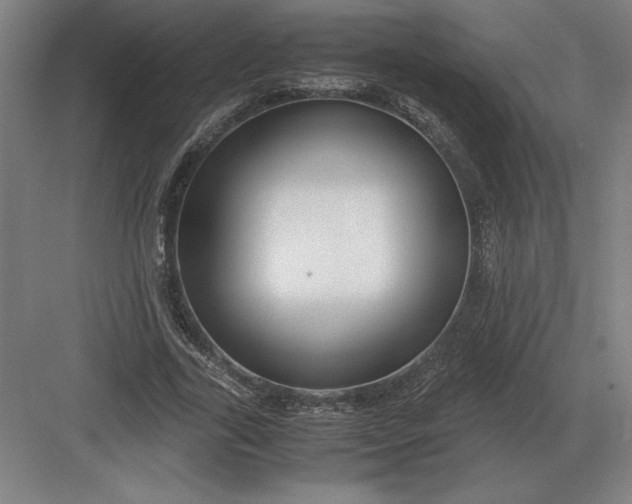 X0000083000731200702160049