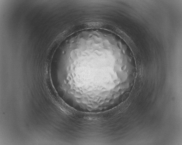 X0000083000733200702160049