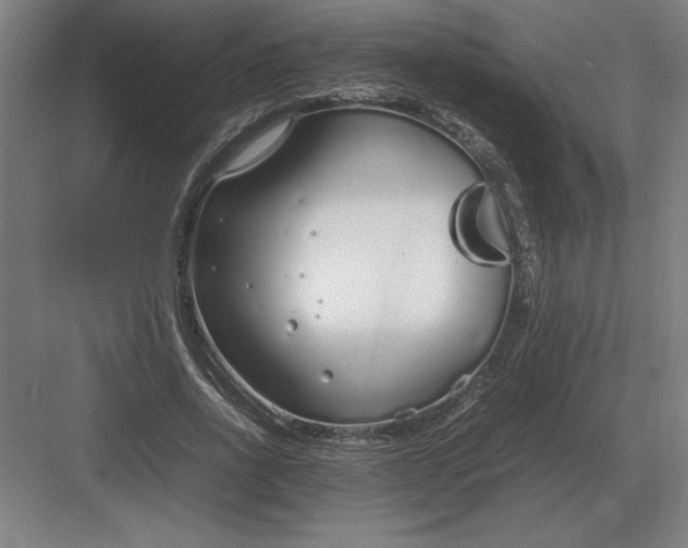 X0000083000734200702160049