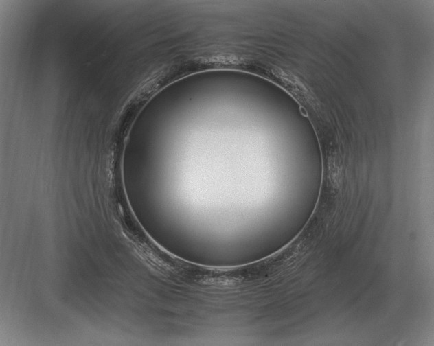 X0000083000735200702160049