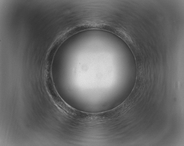 X0000083000736200702160049