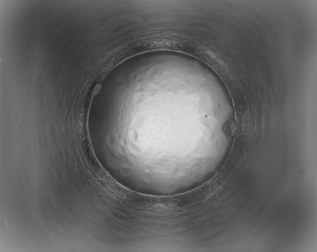 X0000083000737200702160049