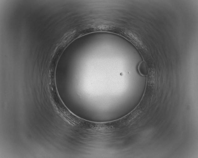 X0000083000738200702160049