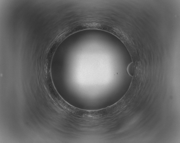 X0000083000739200702160049