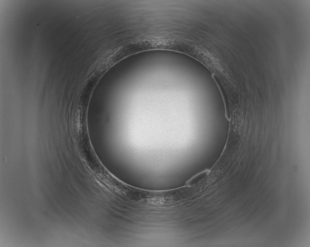 X0000083000740200702160049