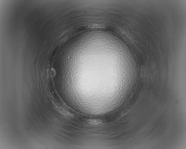 X0000083000741200702160049