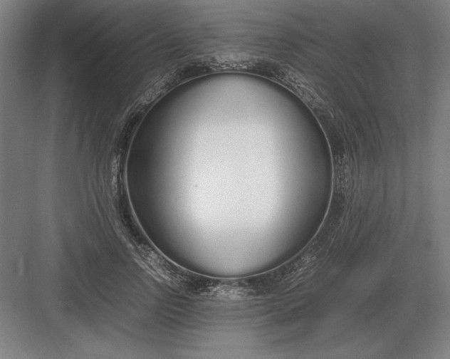 X0000083000742200702160049