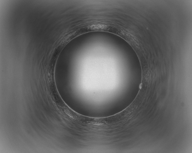 X0000083000743200702160049