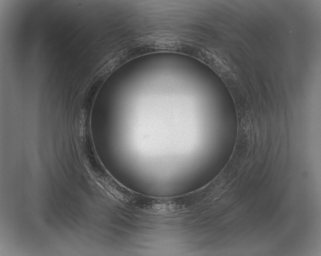 X0000083000744200702160049