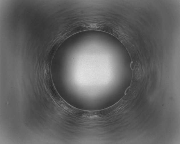 X0000083000747200702160049