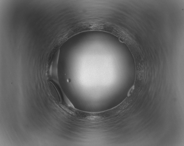 X0000083000748200702160049