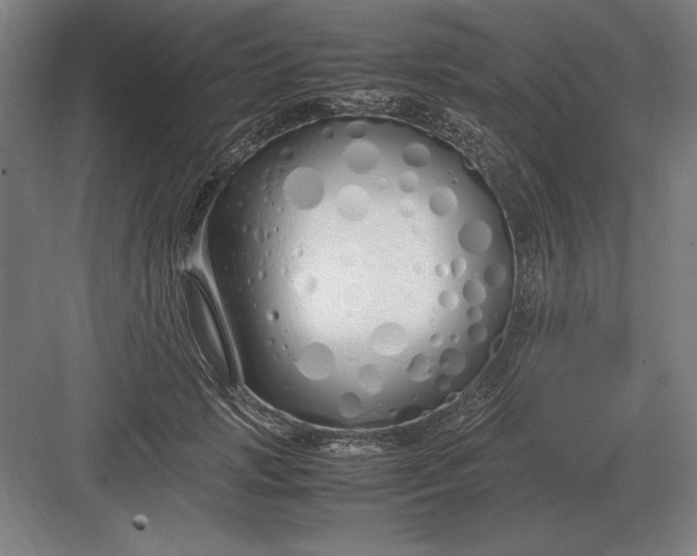 X0000083000749200702160049