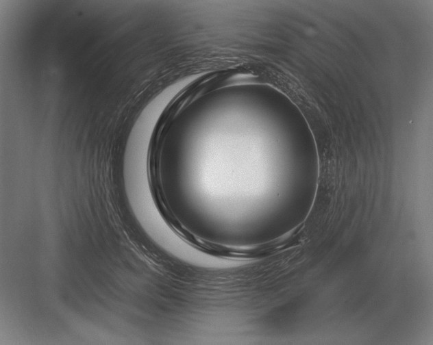 X0000083000750200702160049