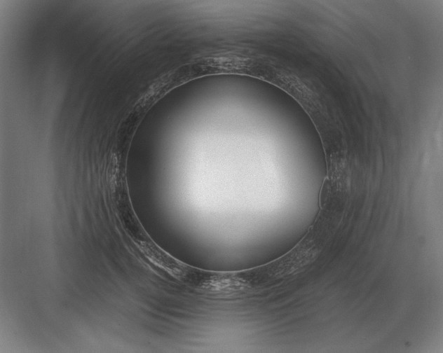 X0000083000752200702160049