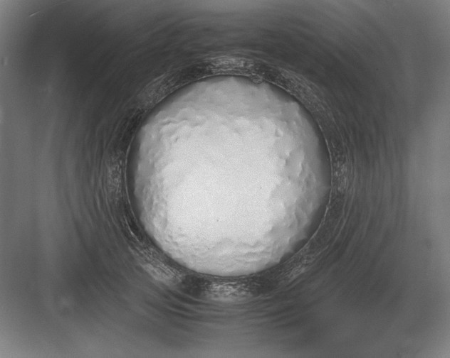 X0000083000753200702160049