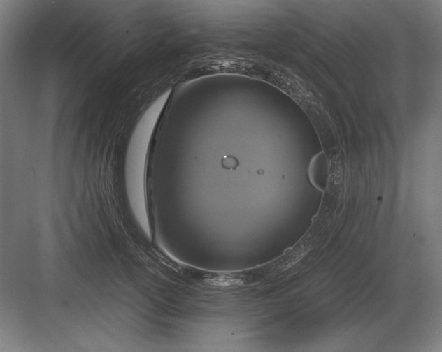 X0000083000754200702160049