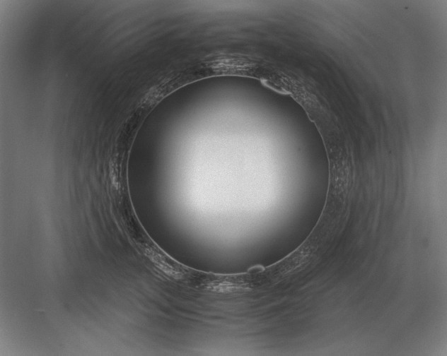 X0000083000755200702160049