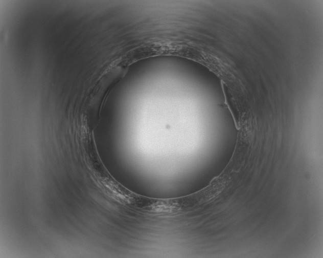 X0000083000756200702160049