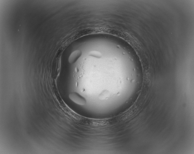 X0000083000757200702160049