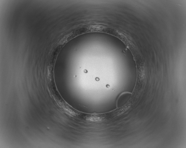 X0000083000759200702160049