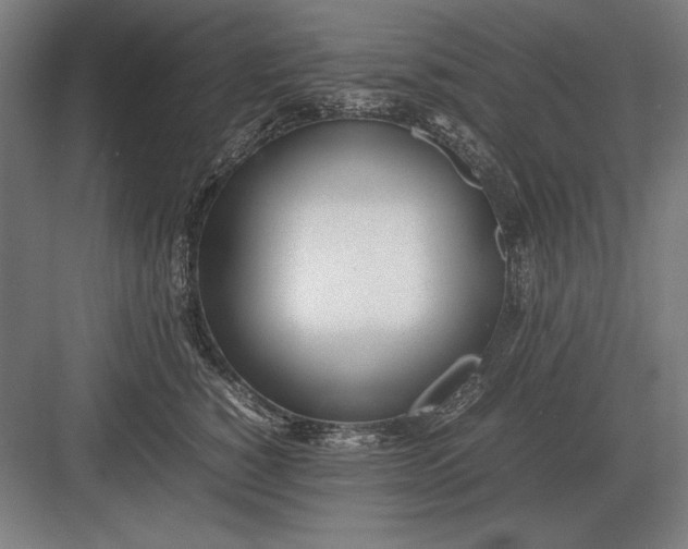 X0000083000760200702160049