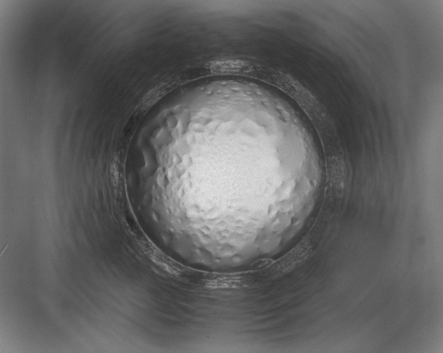 X0000083000761200702160049